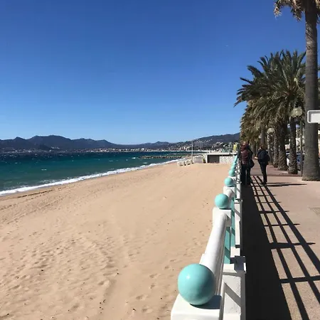 Le Suquet Proche Croisette Daire Cannes