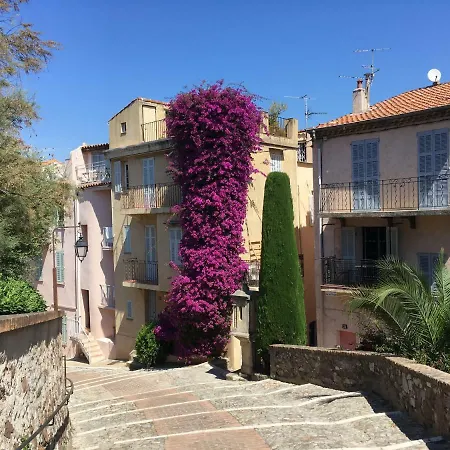 Apartment Le Suquet Proche Croisette